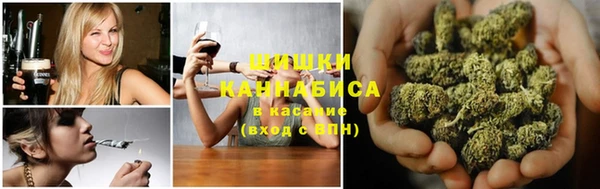 индика Алзамай