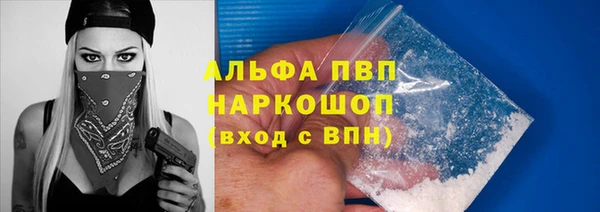 крисы Осташков