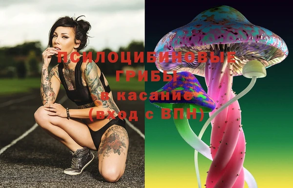 apvp Алексеевка