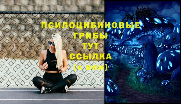 apvp Алексеевка
