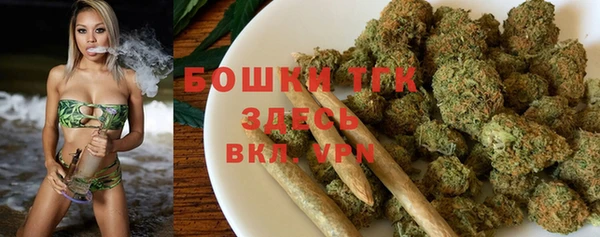 индика Алзамай