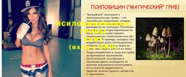 бутират Алексин