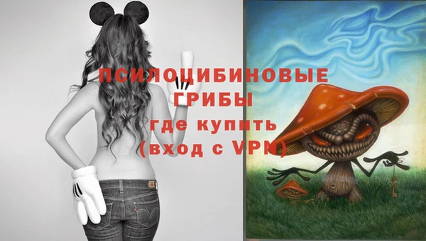 бутират Алексин
