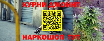 бошки Кингисепп