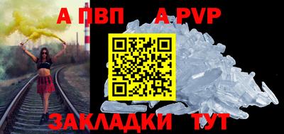 бошки Кингисепп
