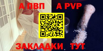 бошки Кингисепп
