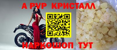 бошки Кингисепп