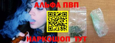 бошки Кингисепп