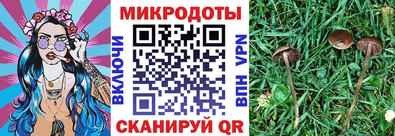 Псилоцибиновые грибы мухоморы  Урай 