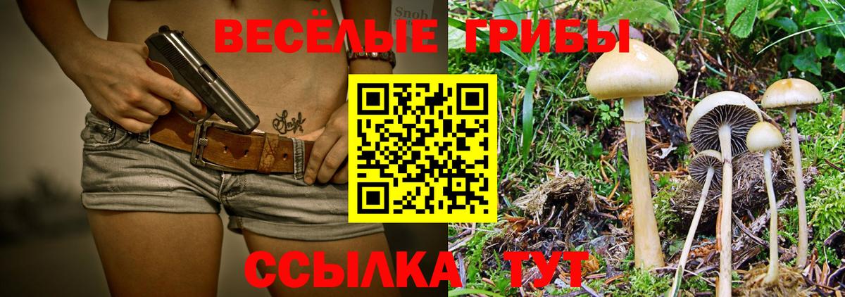 Галлюциногенные грибы Psilocybine cubensis Урай